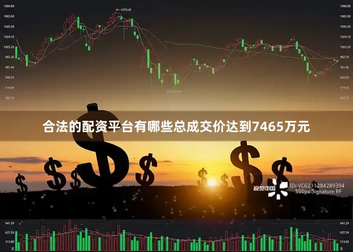 合法的配资平台有哪些总成交价达到7465万元