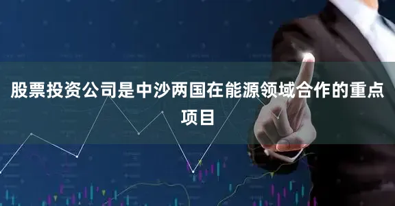股票投资公司是中沙两国在能源领域合作的重点项目